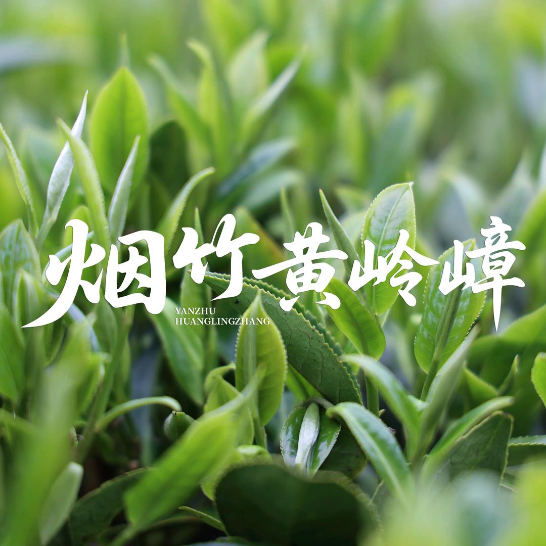 广东省农艺人农业科技有限公司