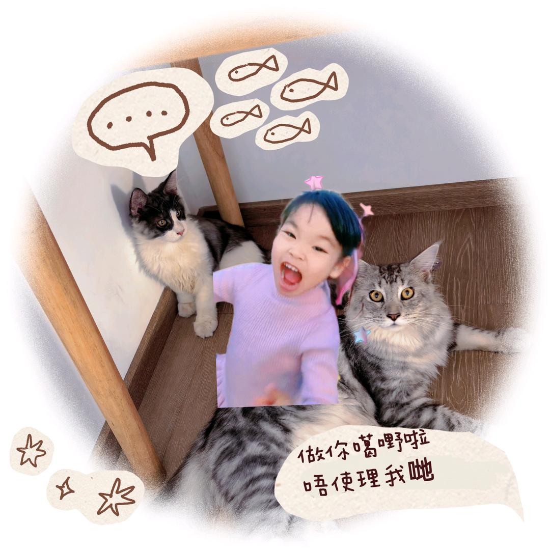 女孩与毛孩日常