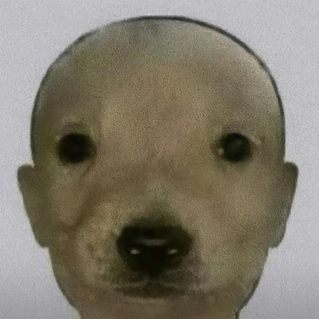 爱吃脆升升