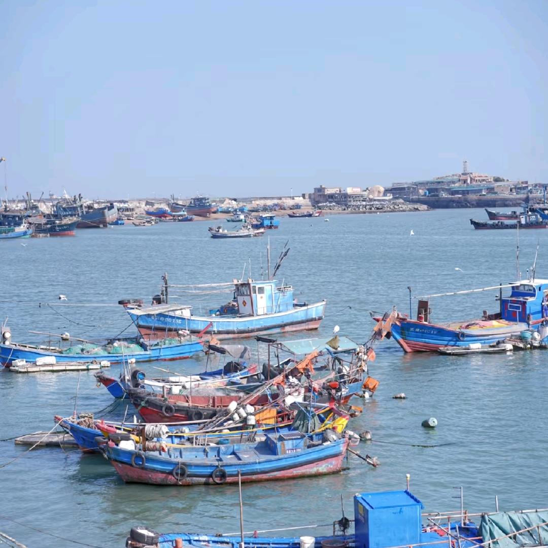 渔码头海鲜供应