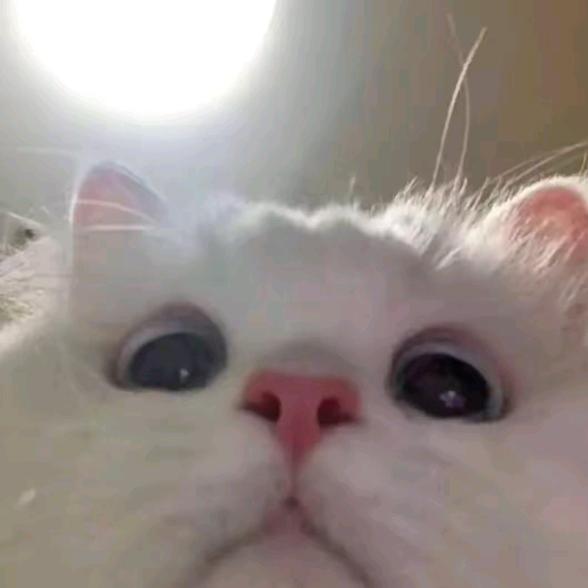 艳火