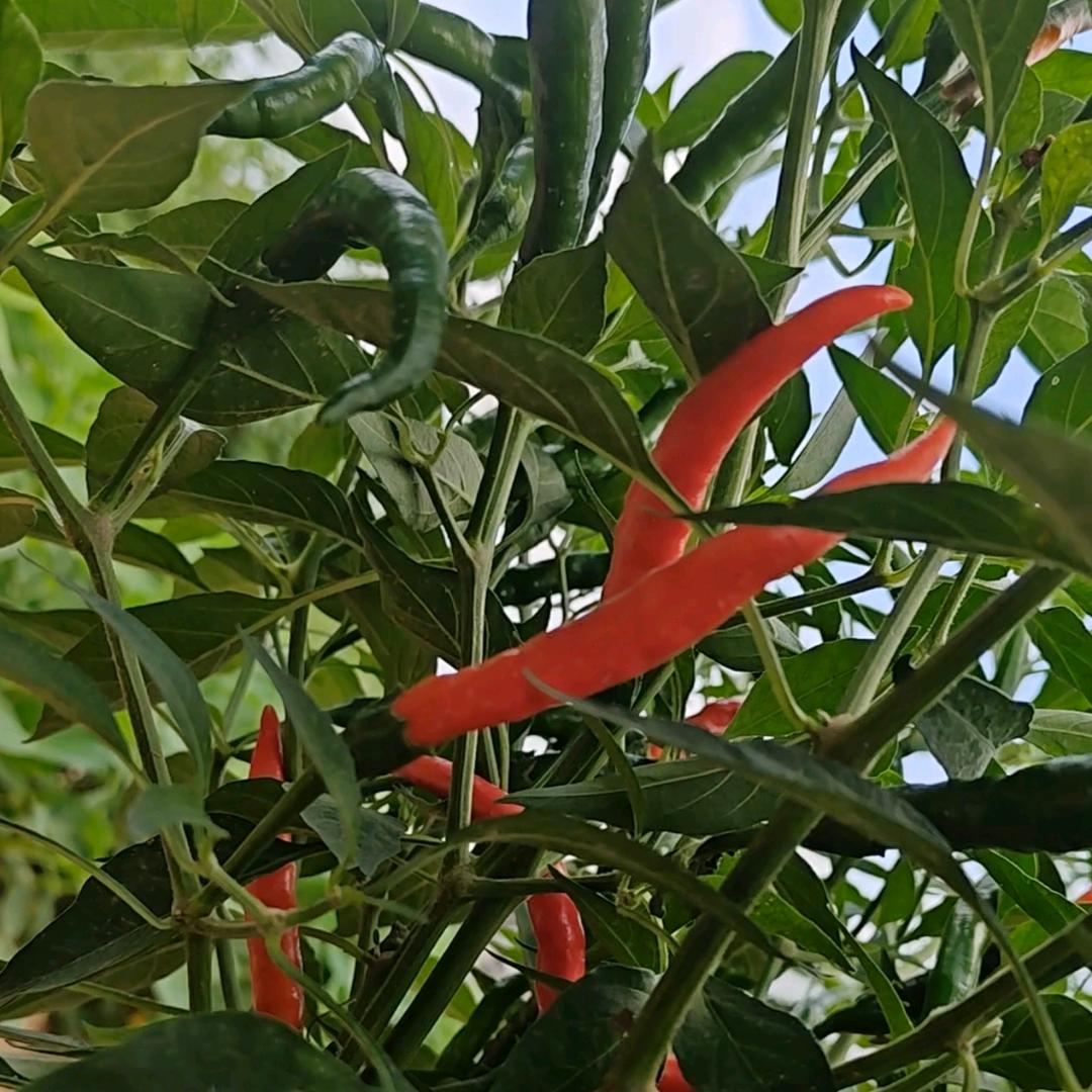 尉氏付记生鲜食品严选店