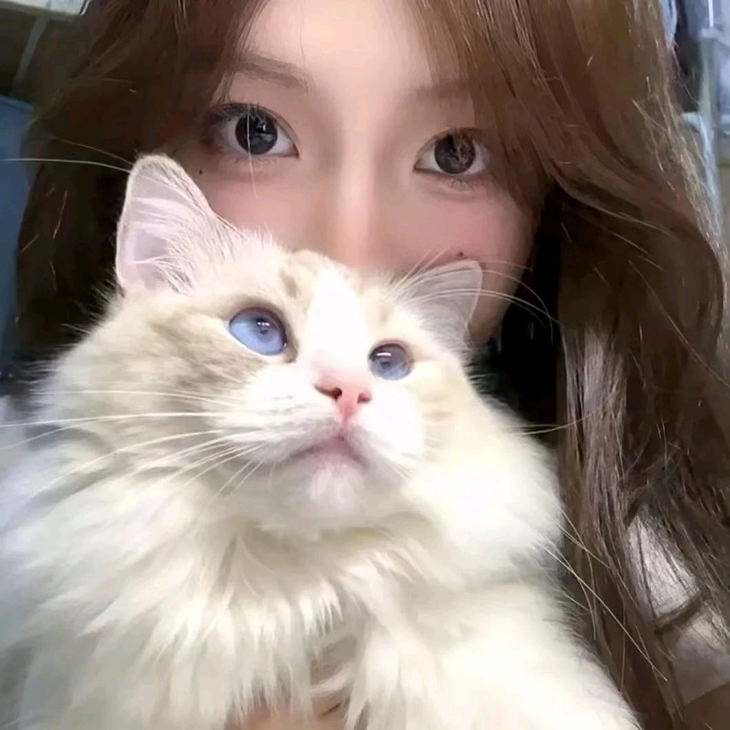 小猫喵喵