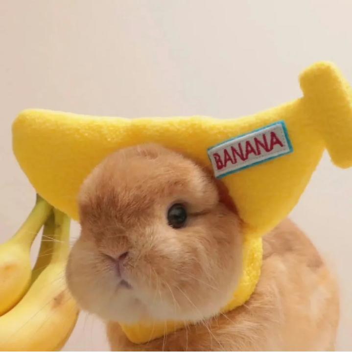 冷鸢