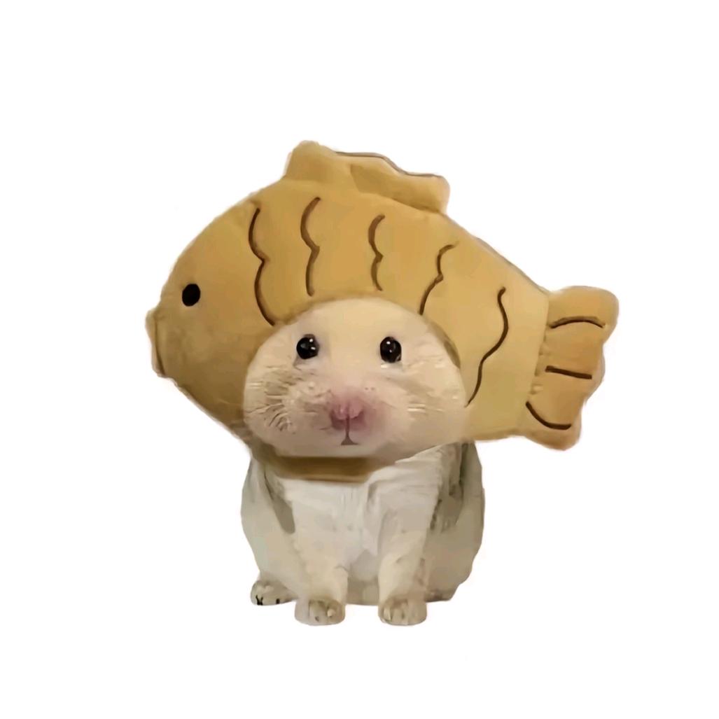 初秋土豆泥🫧