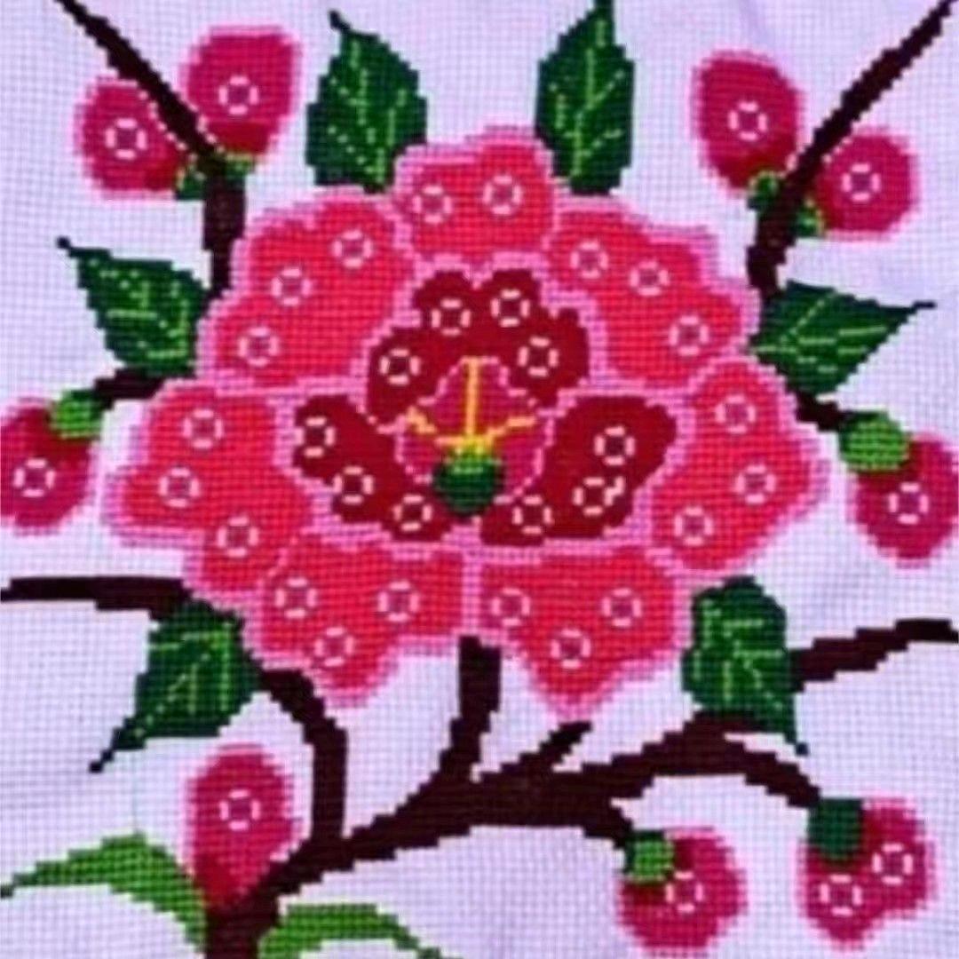 🪷莲花姐🌺🌺🌺🌺🔴🔴