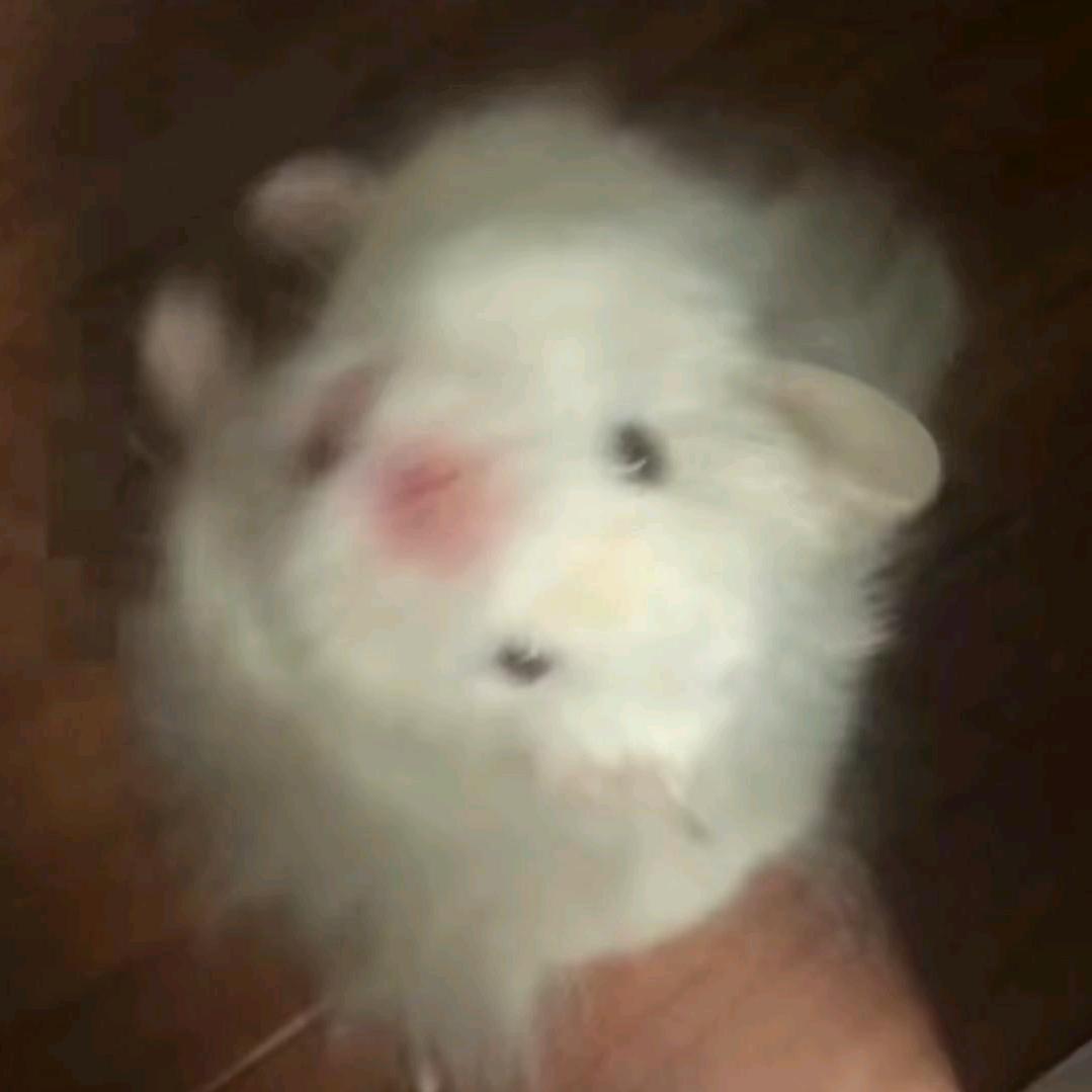算球