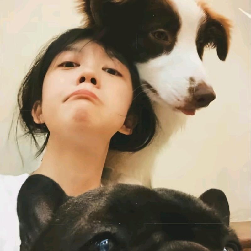 土豆.