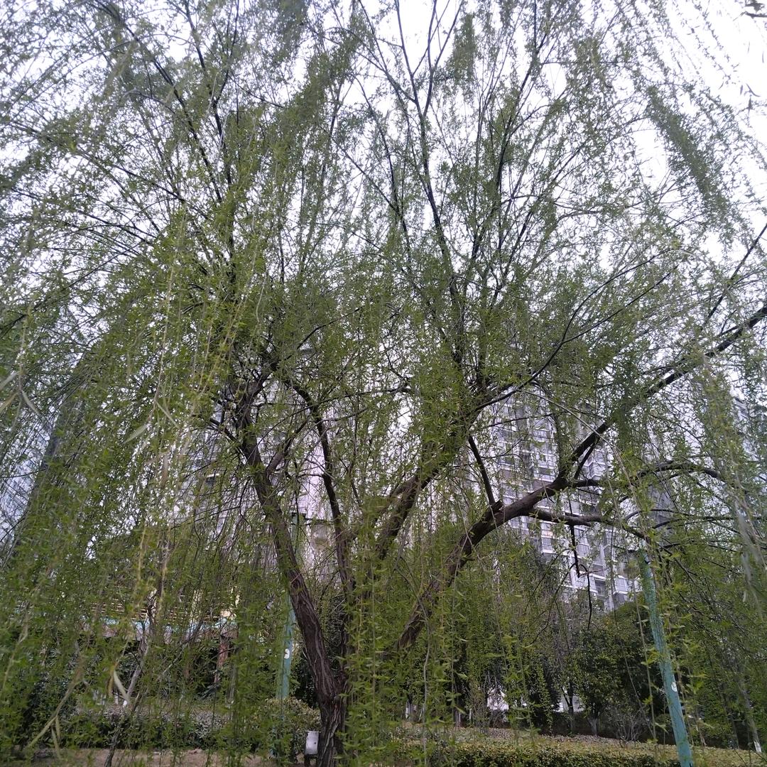 水滴石