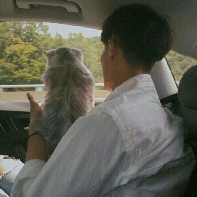 風逝