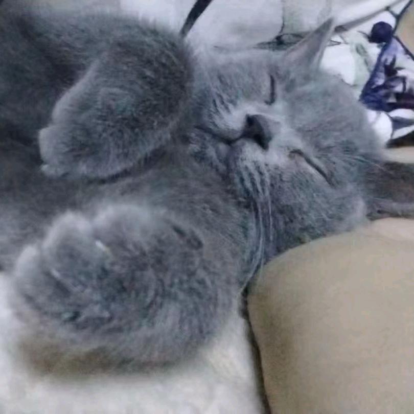 听闻南方没有雪