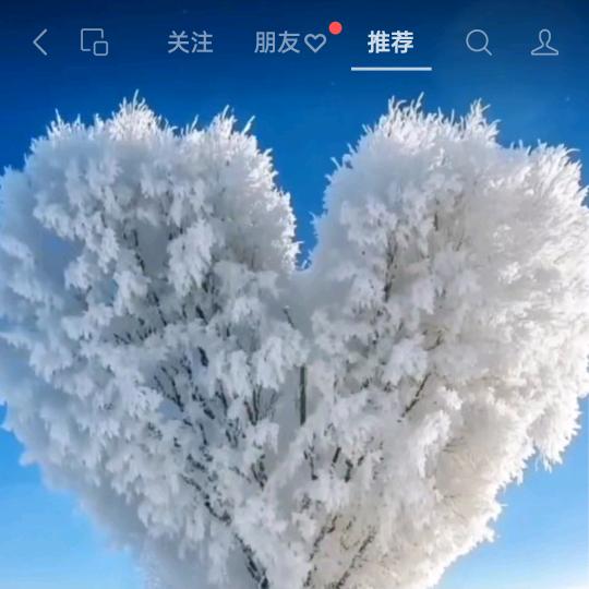 ԅ(¯ㅂ¯ԅ)遇见ni