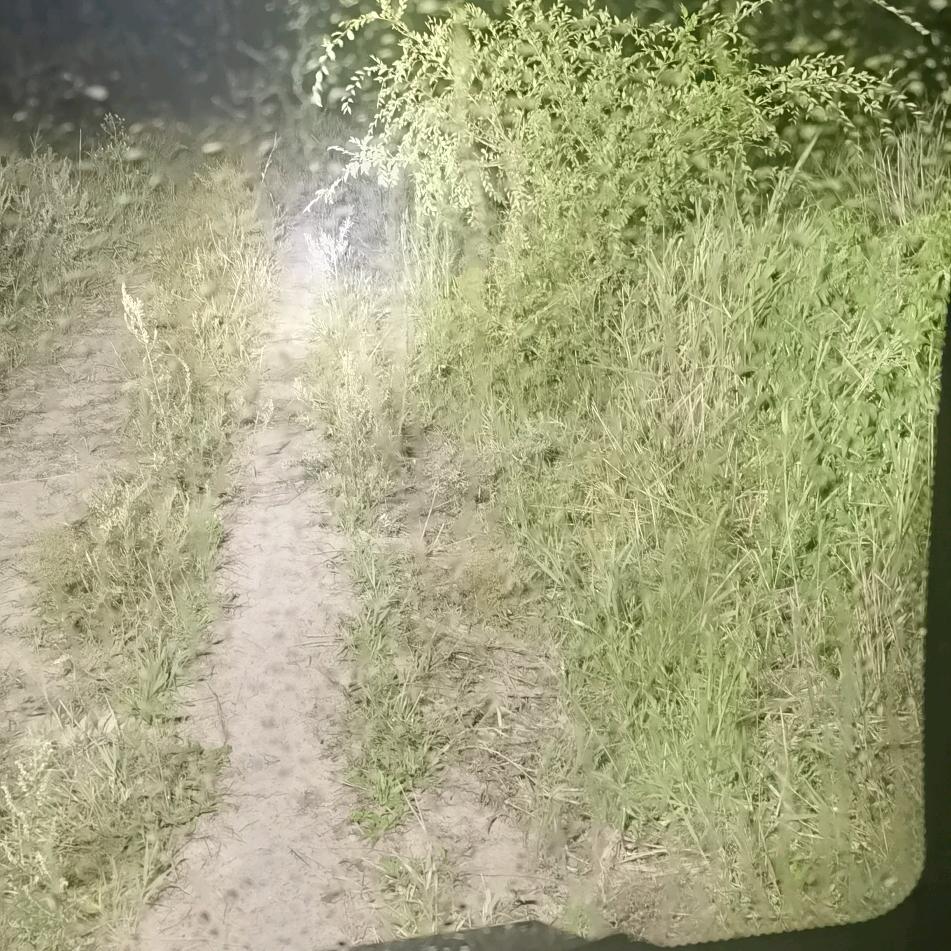 ？