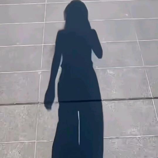 🌹影子🌹