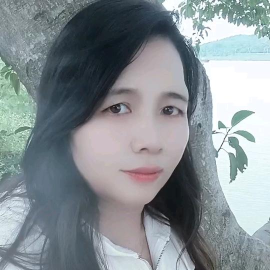 林中清新的梅花