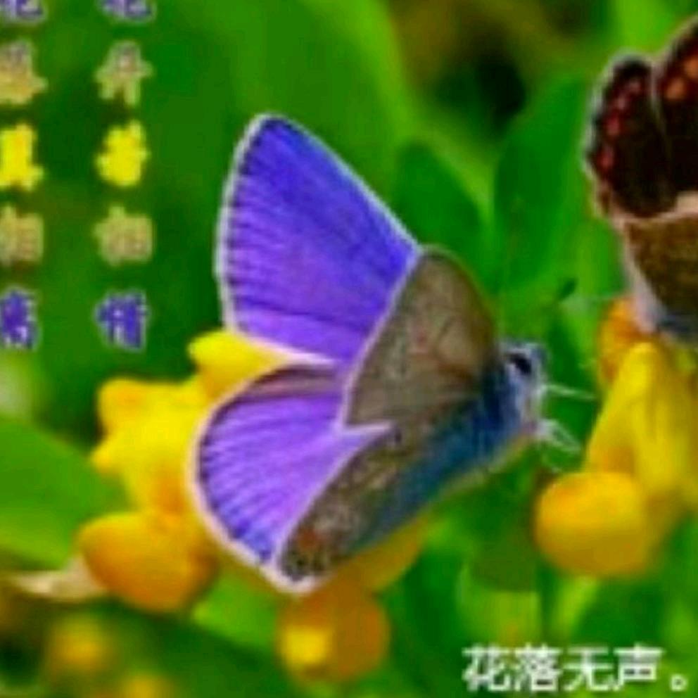 我爱我的家人。