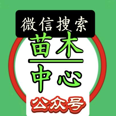苗优优农业>工程苗木中心，免费卖苗。
