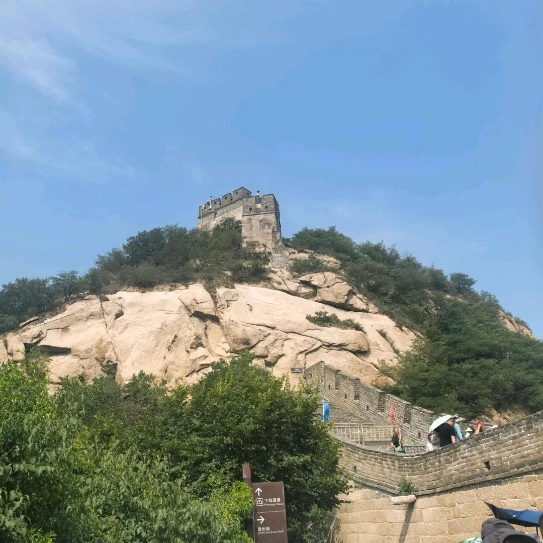 东红知音