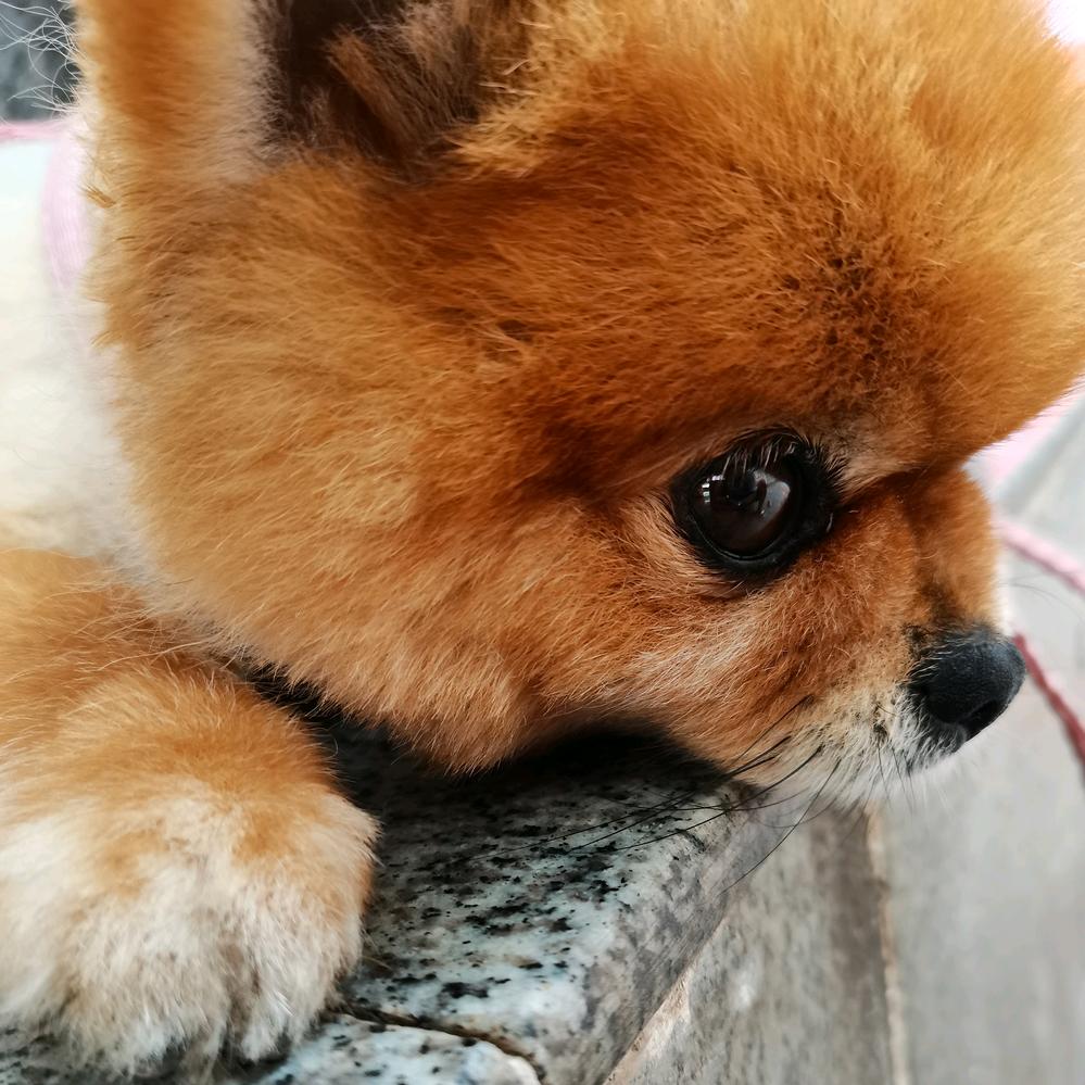 万源一名老歌手