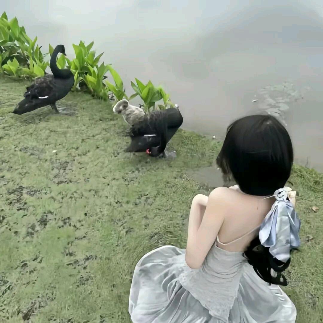 小y