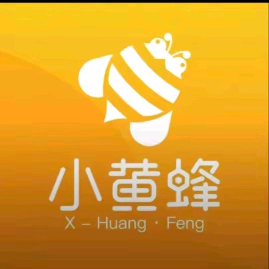 小黄蜂专业保洁擦玻璃(高端家政收纳进社区