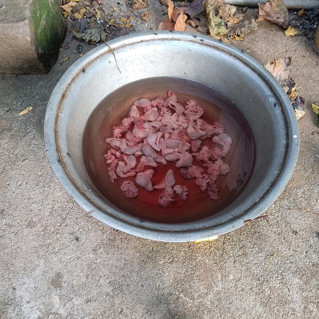 黎溪胡小妹饲料服务