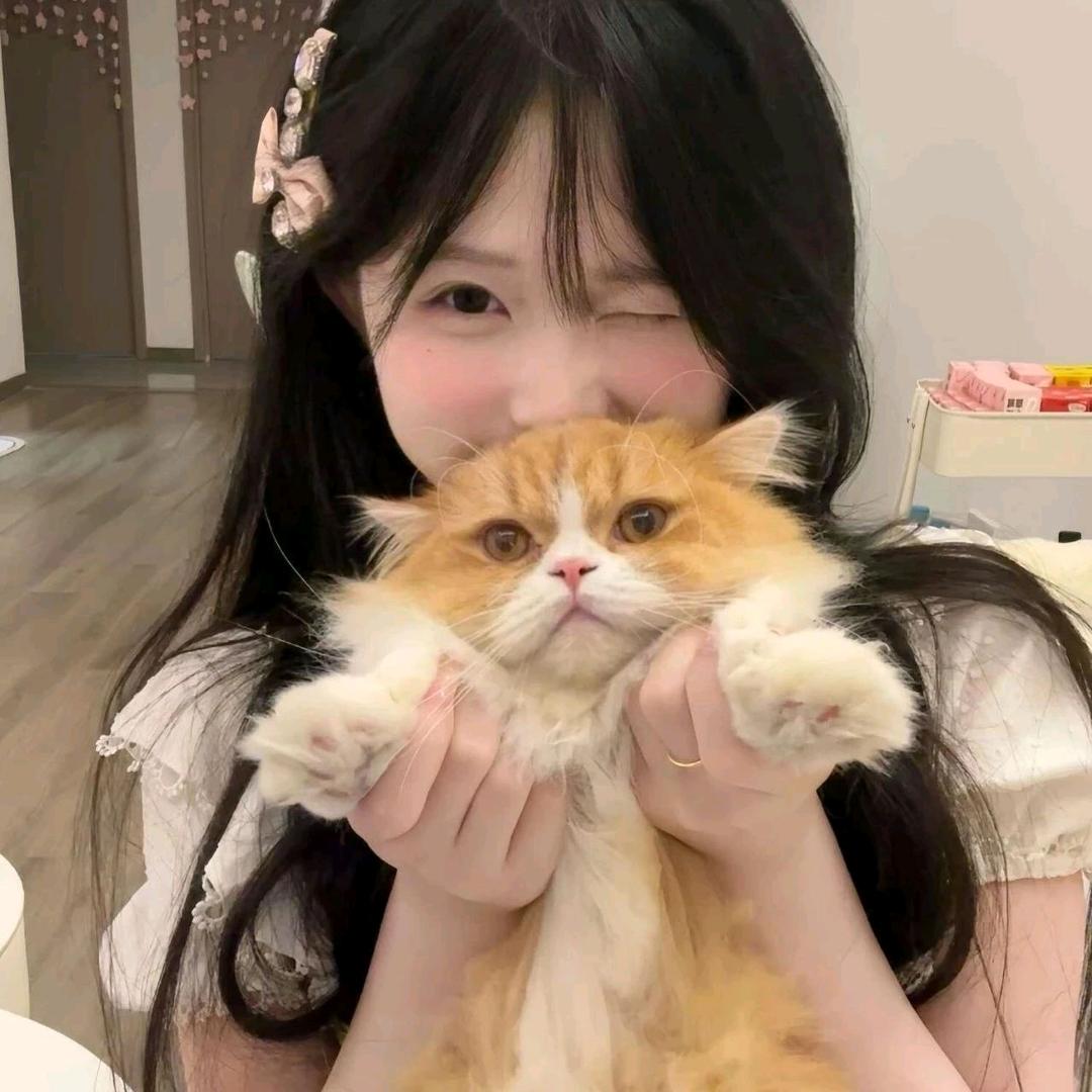 梅竹竹_🦋