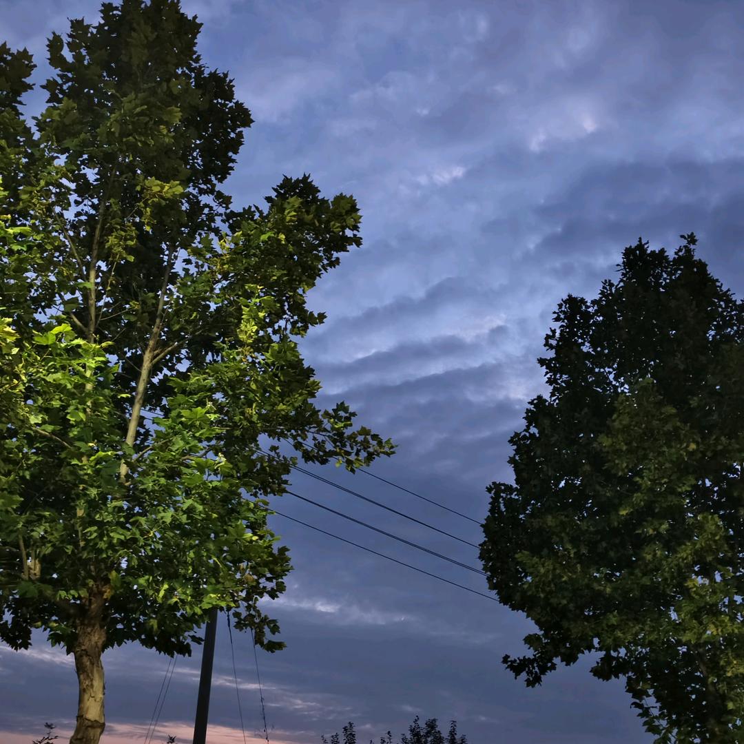 薇雨甜琦（张姐）