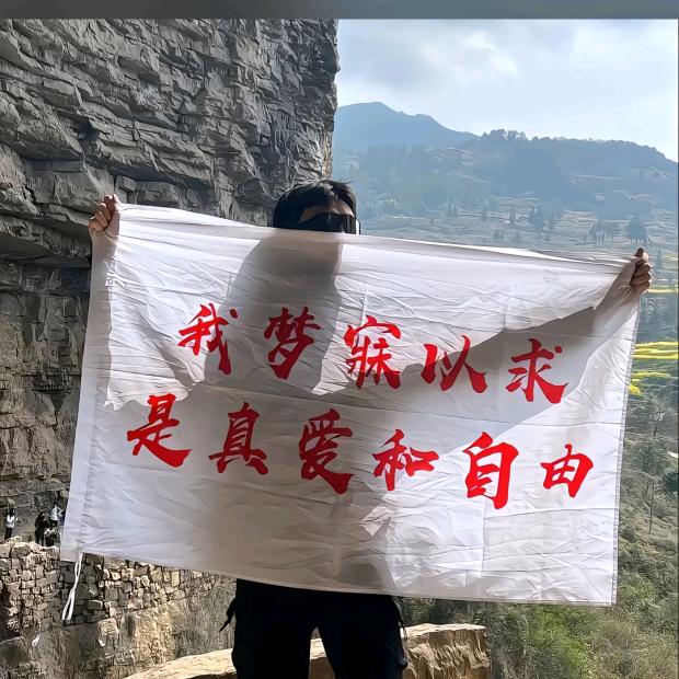 可爱的拉布拉多