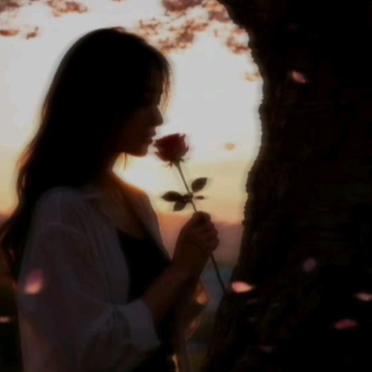 ʸᵃ.ʚʕ̯•͡˔•̯᷅ʔɞ