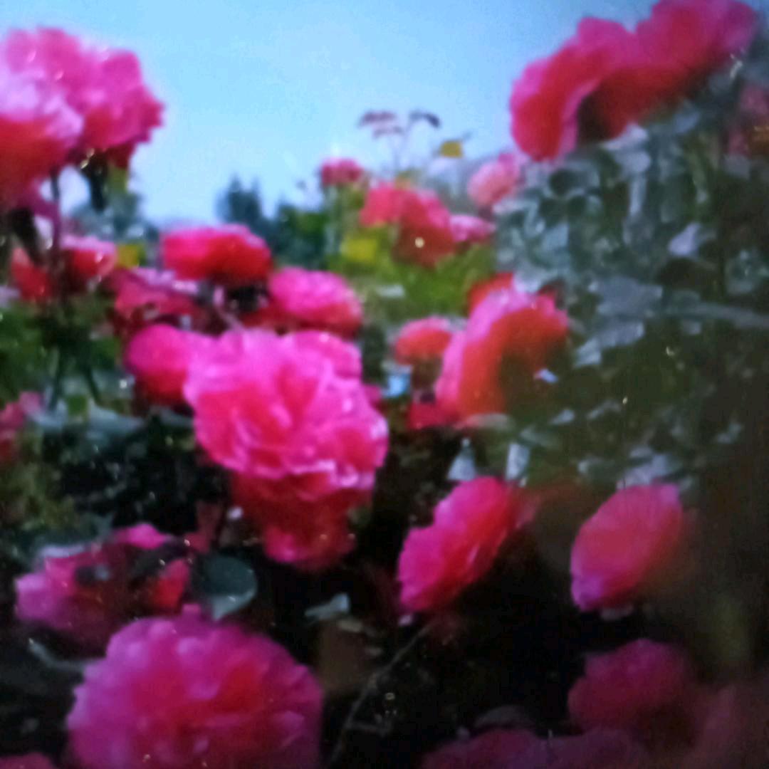 春复秋冬长发财