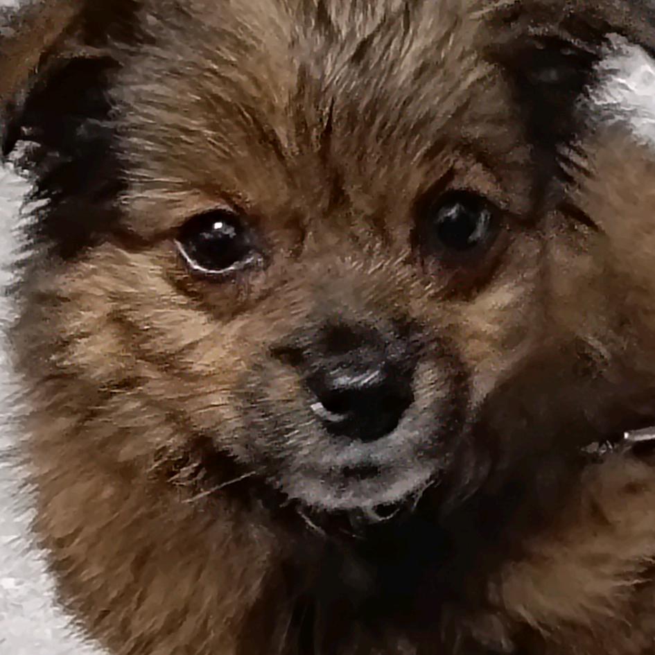 可可可可可可可可可可可可