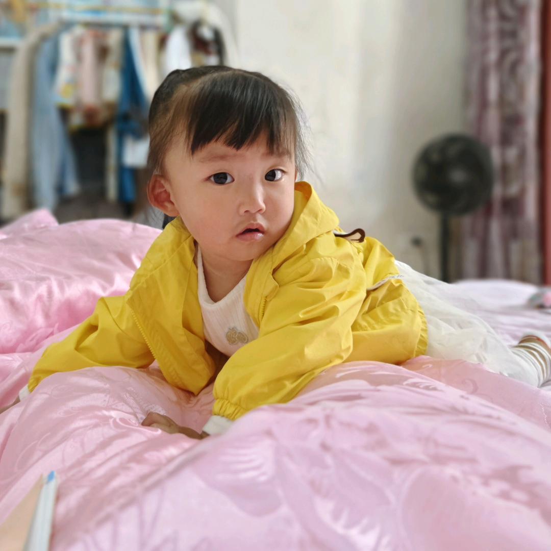 杰哥
