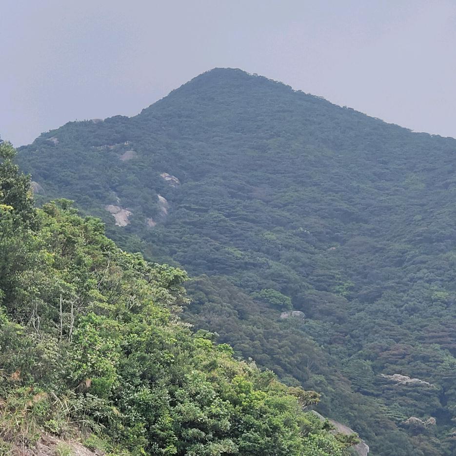 小憨憨