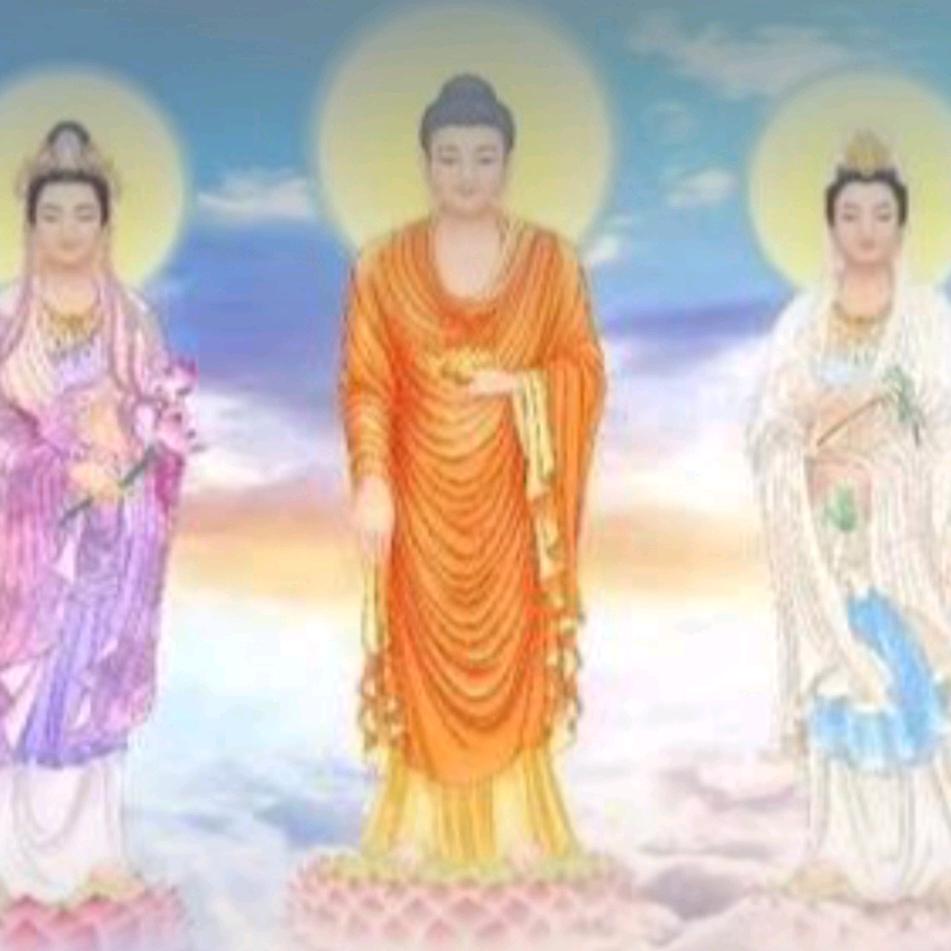 霞姐讲盆底