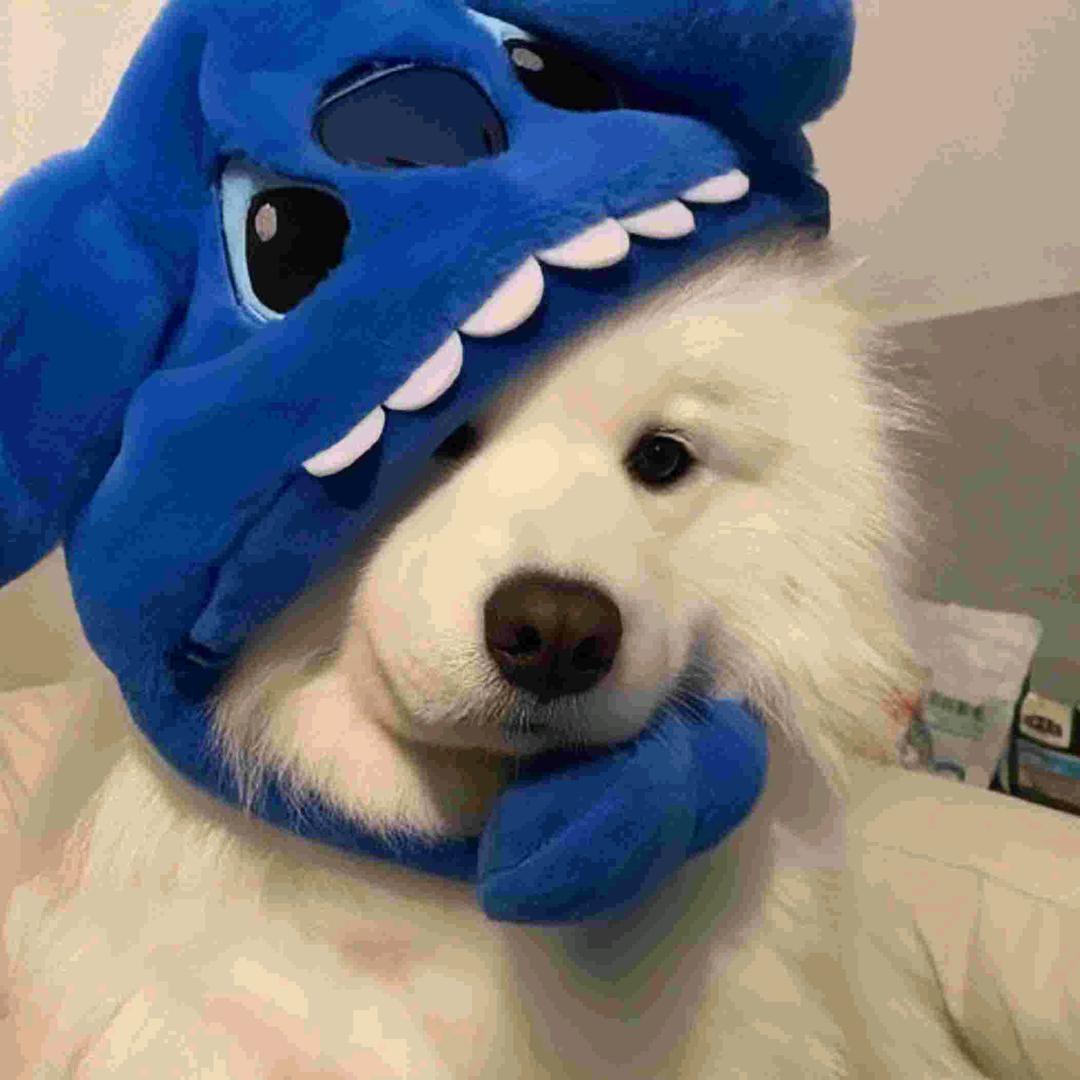 旺旺碎冰冰
