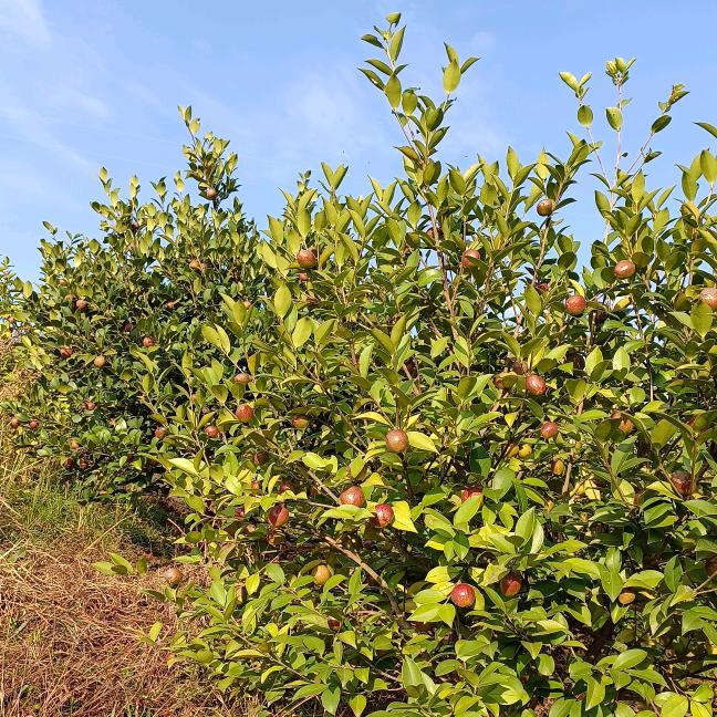 成为更好的自己