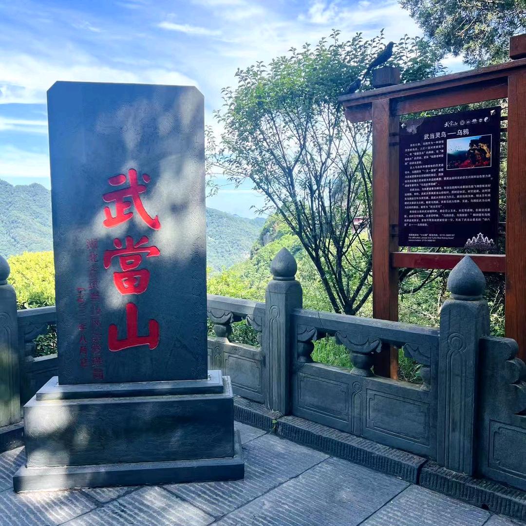 武当带刀