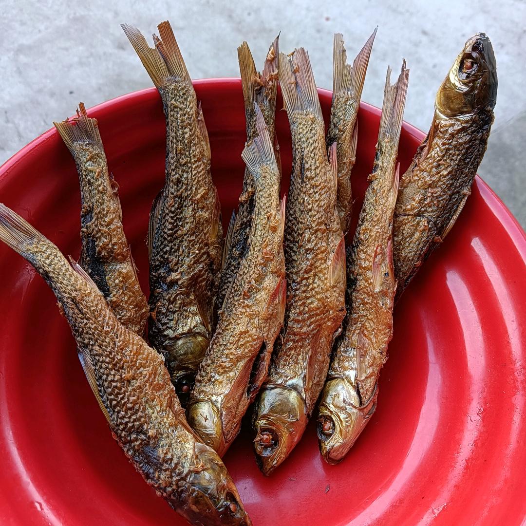 奋斗！《家合养殖合作社》烘烤火焙鱼