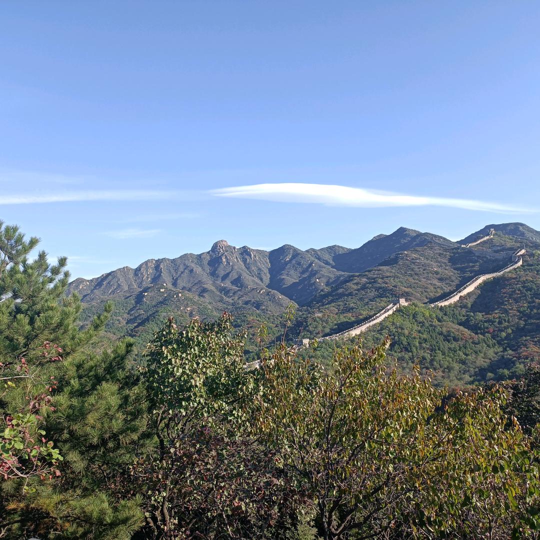 柚子苏苏