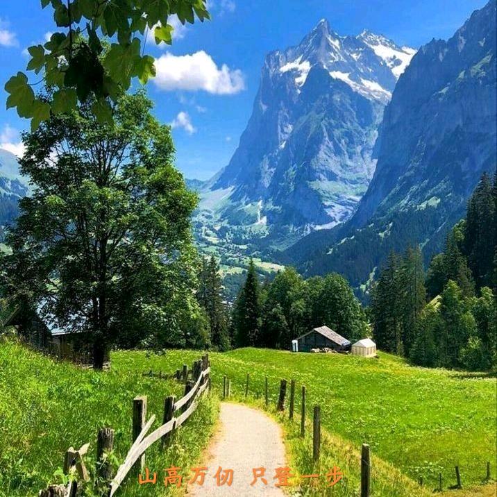 北溟玄铮