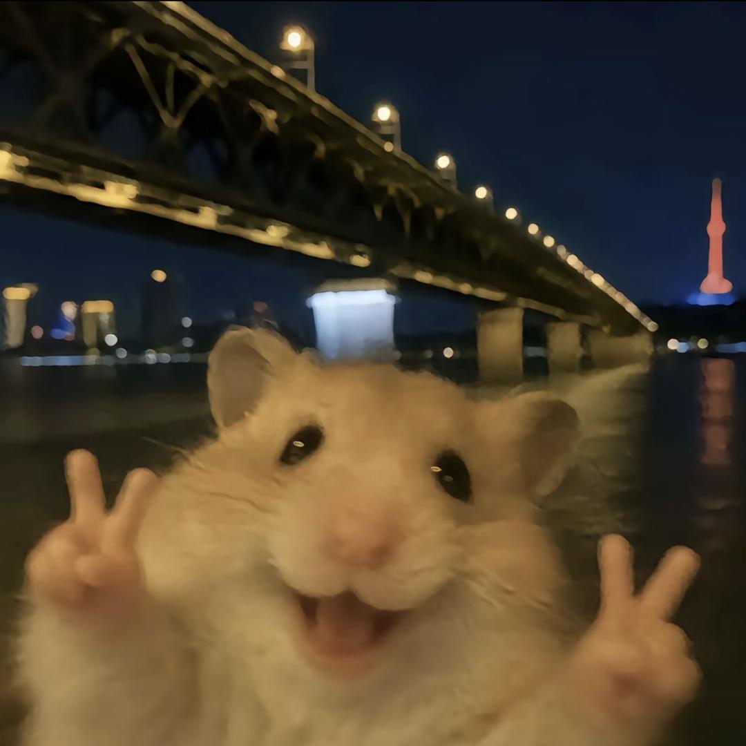 小豆宝宝（永劫摸金）