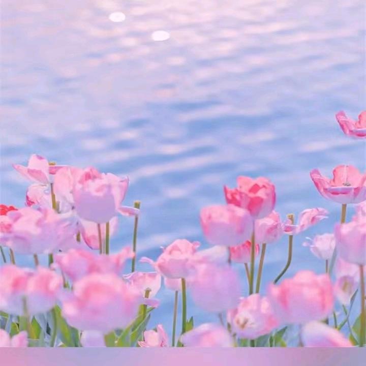 嘉嘉要加油（复读版）