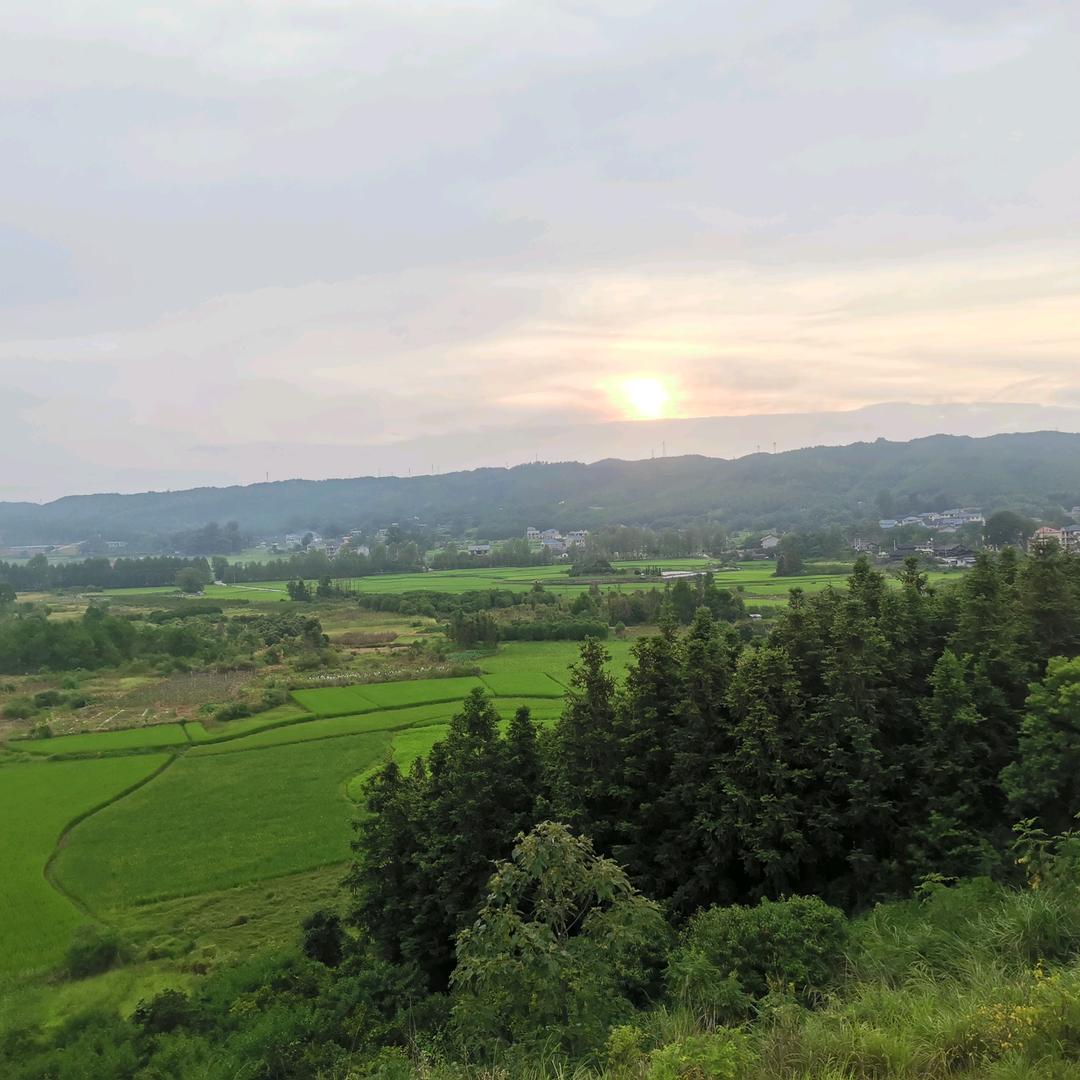 今天过好，明天再说