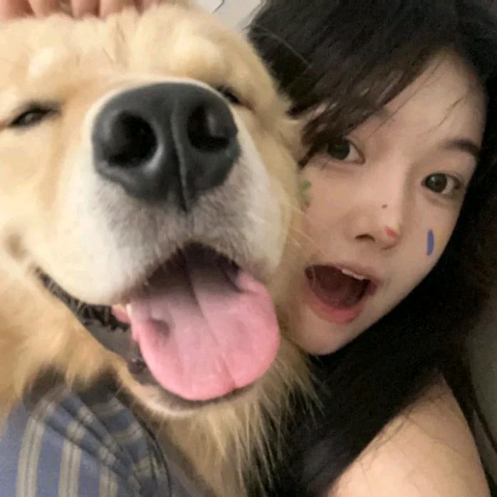 晕头小狗(抽抽看置顶)