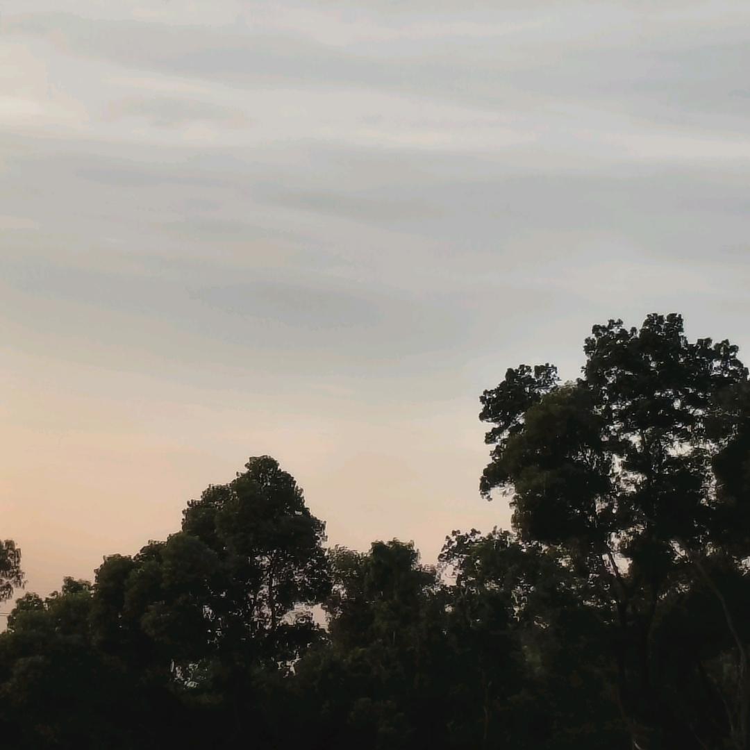 你不是哥的菜