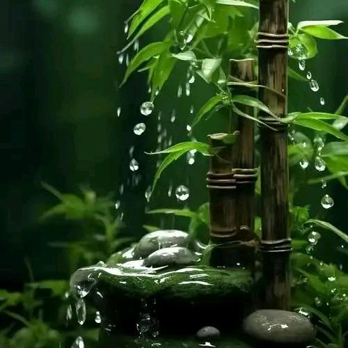 欣茹愿