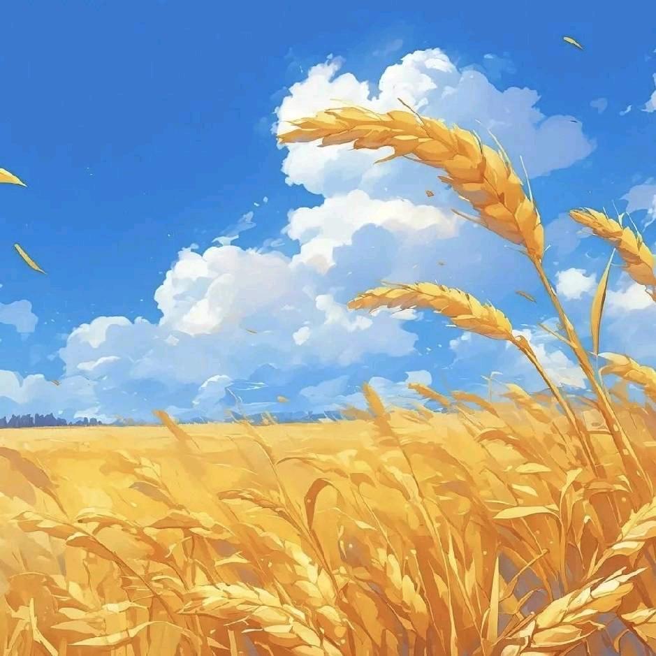 旭日东升0919