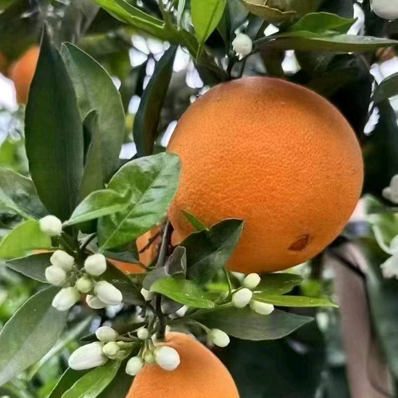 ꧁༺๑取悦自己才是生活的王道༻꧂