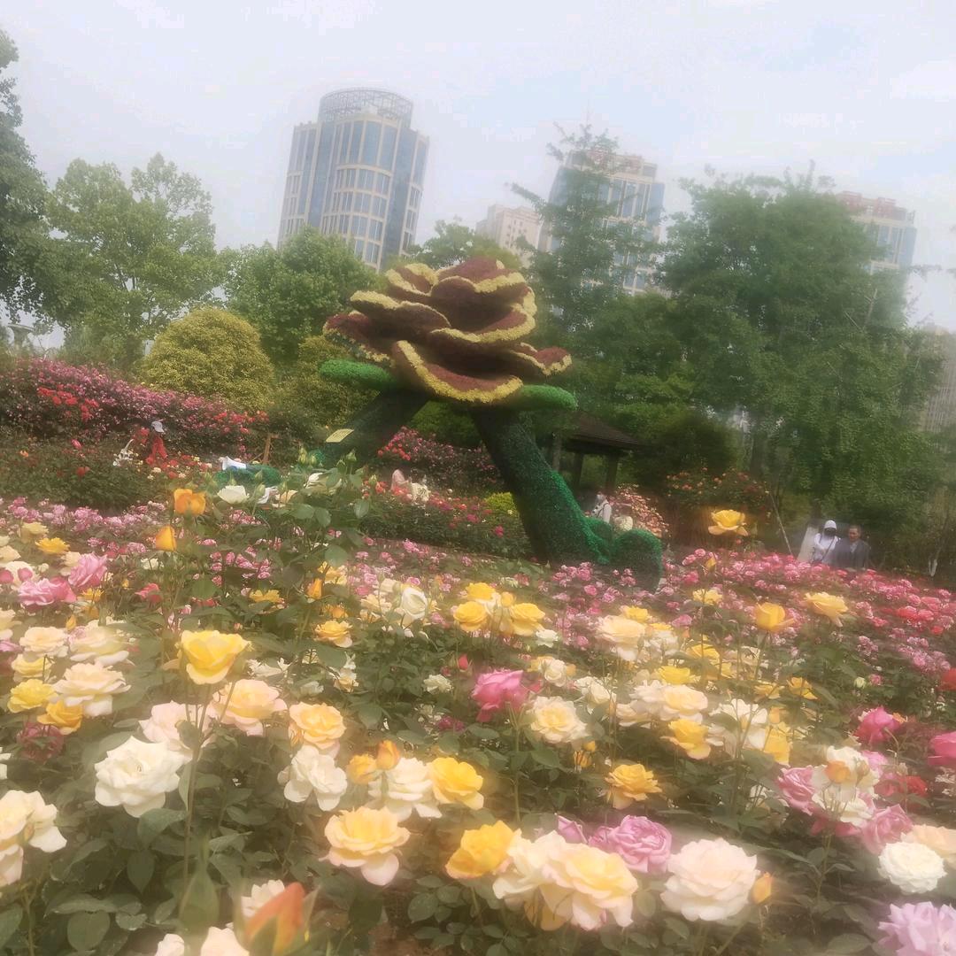张永梅